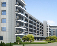 新欣碳帶真的很好用